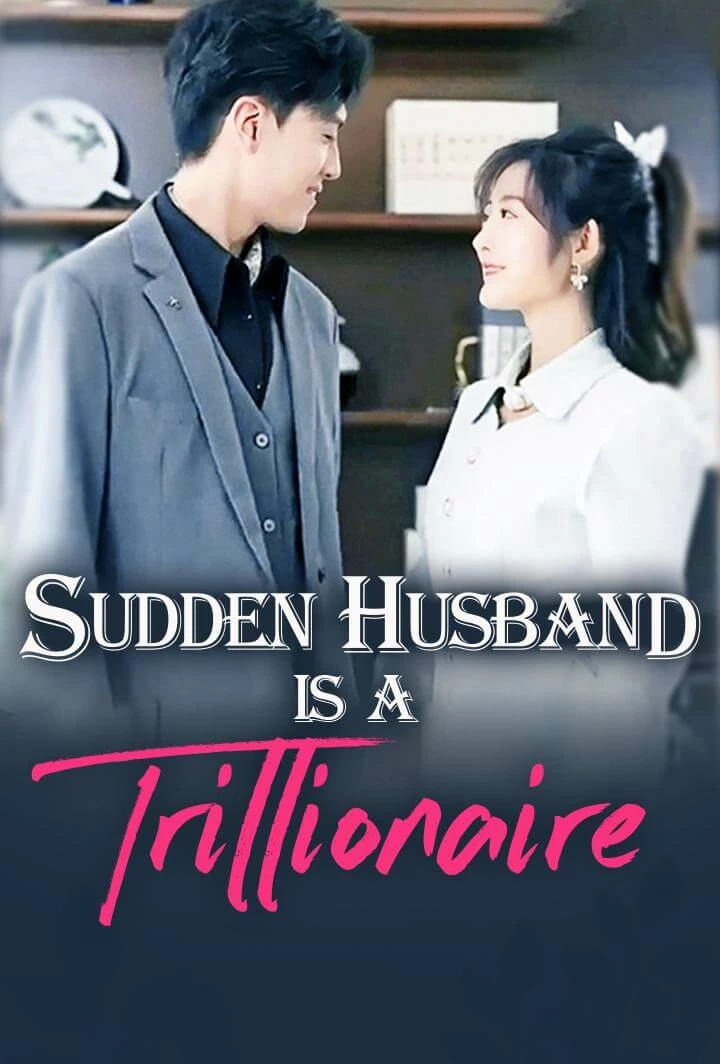 Sudden Husband is a Trillionaire