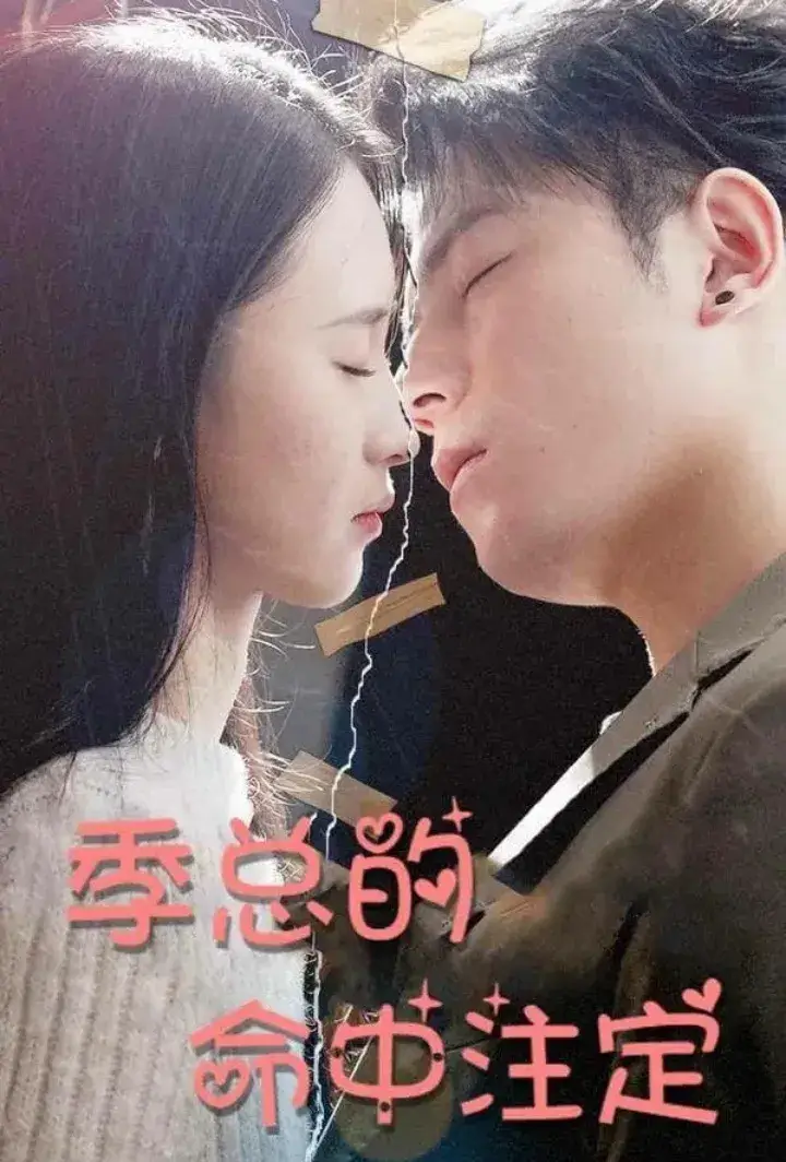 The CEO's Fated Romance